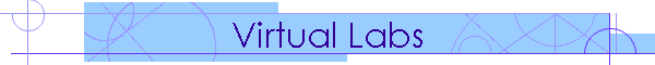 Virtual Labs