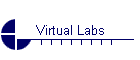 Virtual Labs